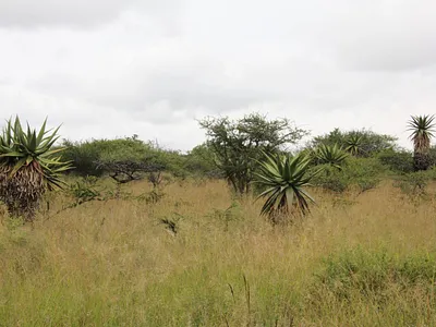 Vacant Land For Sale in Polokwane - ygao.webp