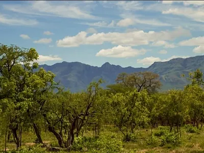 Farm For Sale in Tzaneen - PwFS.webp