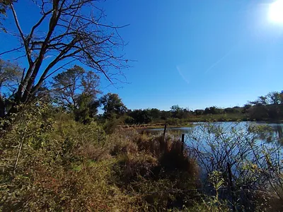 Farm For Sale in Tzaneen - MZUD.webp