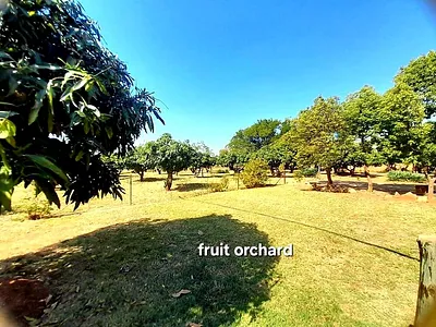 Farm For Sale in Pretoria - sjPF.webp