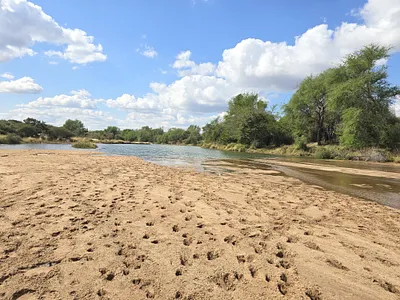 Farm For Sale in Musina - xpQg.webp