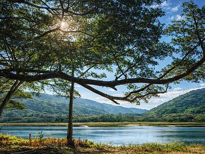 Farm For Sale in Kei Mouth - ZgmF.webp