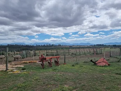 Farm For Sale in Albertinia - img