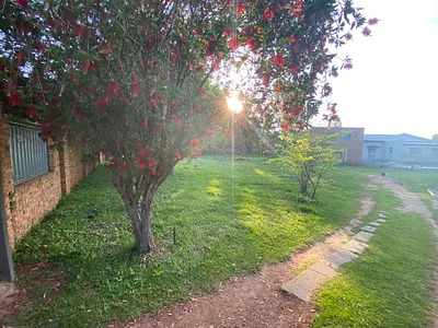 3 Bedroom House For Sale in Benoni - alR3.webp