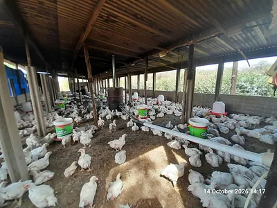 Farm For Sale in Pretoria - CE07.webp