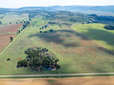 Farm For Sale in Heidelberg - F6RD.webp