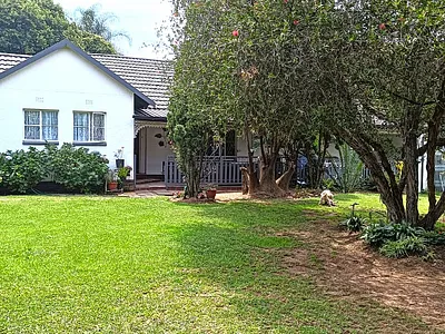 4 Bedroom House To Rent in Kempton Park - img
