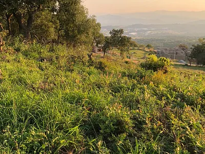 Vacant Land For Sale in Nelspruit - EGWQ.webp
