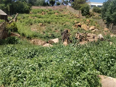 Vacant Land For Sale in Johannesburg - Kmsw.webp