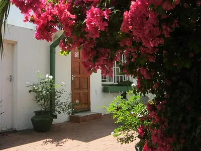 3 Bedroom House For Sale in Edenvale - Ni3W.webp