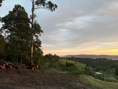 Vacant Land For Sale in Knysna - 8zNb.webp