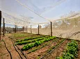Carousel Indicator - KDqg.webp