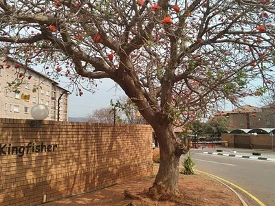 2 Bedroom Apartment To Rent in Annlin-Wes, Pretoria - lSSQ.webp