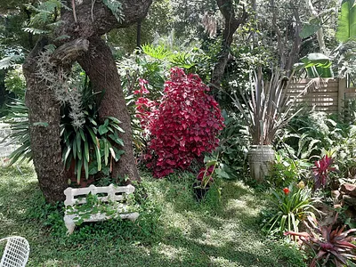 7 Bedroom House For Sale in Pretoria - nZEW.webp