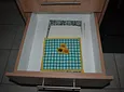 Carousel Indicator - lLp8.webp