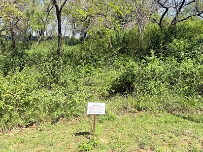 Vacant Land For Sale in Nelspruit - BlSd.webp