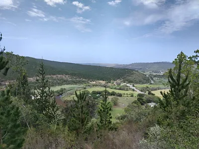 Farm For Sale in Sedgefield Central, Sedgefield - n49Z.webp