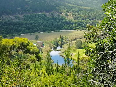 Farm For Sale in Sedgefield - zdBm.webp