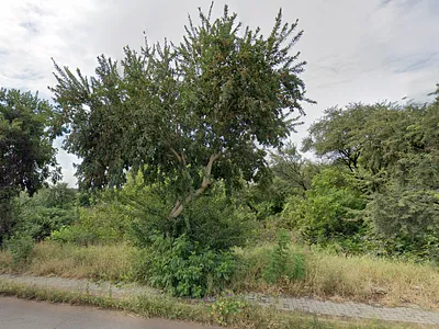 Vacant Land For Sale in Soshanguve - pNwa.webp