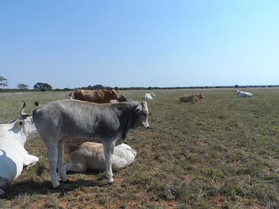 Farm For Sale in Marble Hall - ZkE6.webp