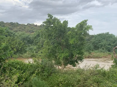 Vacant Land For Sale in Hoedspruit - HdNS.webp