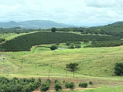 Farm For Sale in Tzaneen - aNGD.webp