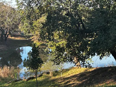 Farm For Sale in Tzaneen - 6YRC.webp