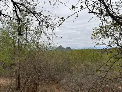 Vacant Land For Sale in Hoedspruit - img