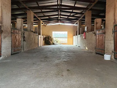 Farm To Rent in White River - NDCN.webp