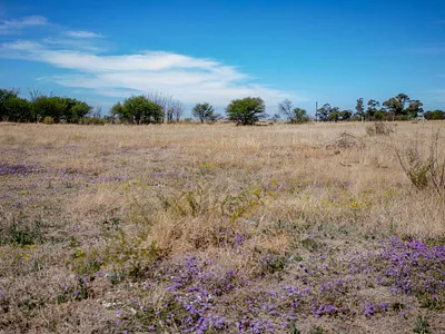 Vacant Land For Sale in Koppies - sPV2.webp