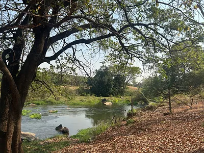 Farm For Sale in Tzaneen - 8rOt.webp