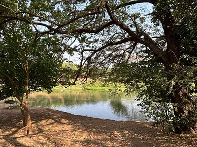 Farm For Sale in Tzaneen - Cub9.webp