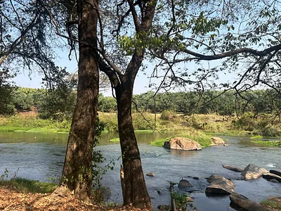 Farm For Sale in Tzaneen - pvKE.webp