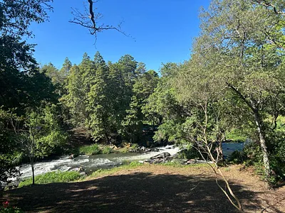 Farm For Sale in Tzaneen - sqEw.webp