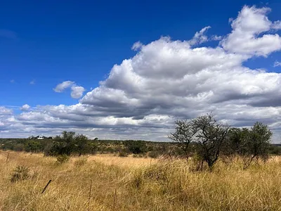 Farm For Sale in Tzaneen - o5ye.webp