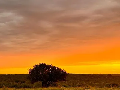 Farm For Sale in Modjadjiskloof - vzgB.webp