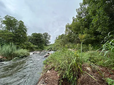 Farm For Sale in Tzaneen - tLFX.webp