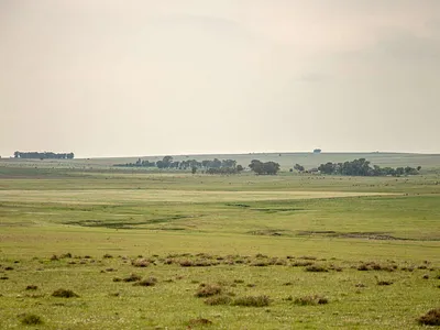 Farm For Sale in Heilbron - bxBQ.webp