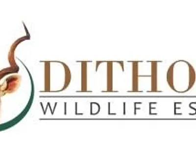 Vacant Land For Sale in Thabazimbi - img