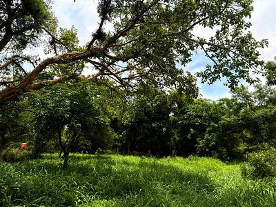 Vacant Land For Sale in Hoedspruit - 7ACR.webp