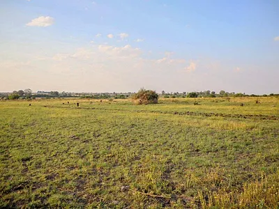 Farm For Sale in Koppies - Ysj0.webp