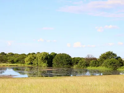 Farm For Sale in Heilbron - Igal.webp