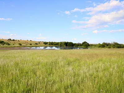 Farm For Sale in Heilbron - KwAX.webp