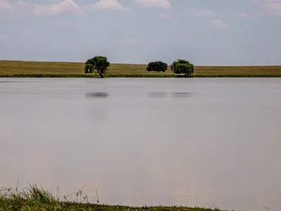 Farm For Sale in Heilbron - QXd3.webp