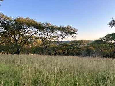 Farm For Sale in Tzaneen - TzjA.webp