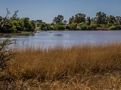 Vacant Land For Sale in Koppies - XpNR.webp