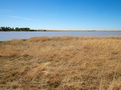 Vacant Land For Sale in Koppies - PEyx.webp