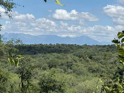 Vacant Land For Sale in Hoedspruit - iUAE.webp