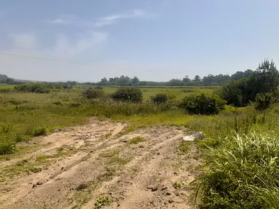 Farm For Sale in Tinley Manor, Ballito - LGKc.webp