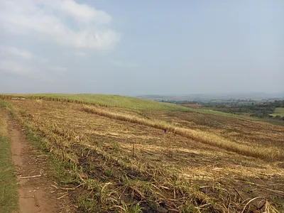 Farm For Sale in Fraser, Tongaat - 2dwc.webp